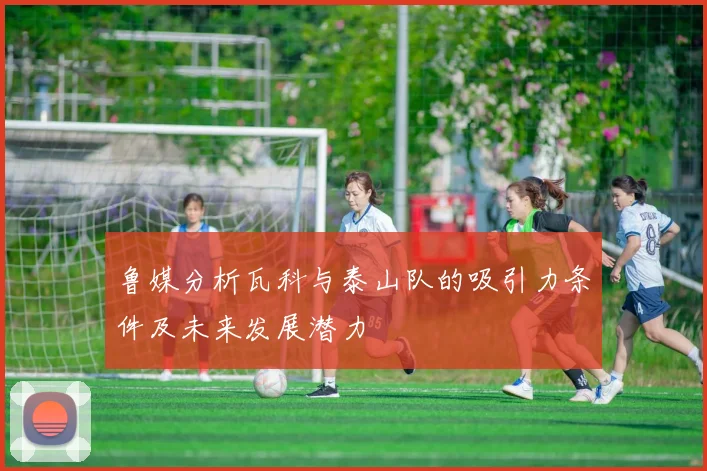 鲁媒分析瓦科与泰山队的吸引力条件及未来发展潜力
