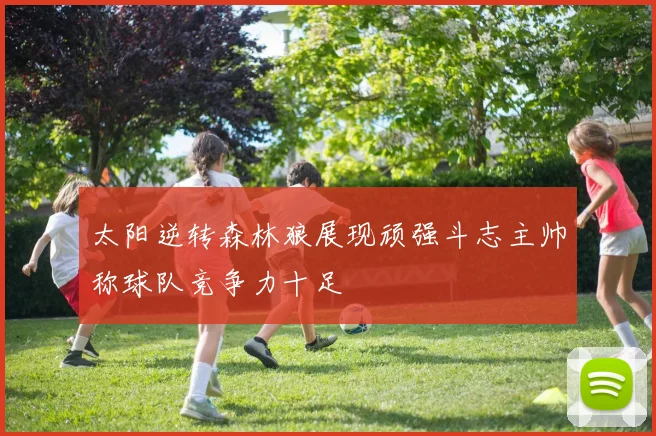 太阳逆转森林狼展现顽强斗志主帅称球队竞争力十足